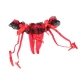 Nohavičky 2in1 Suspenderbelt with open pearl string Red